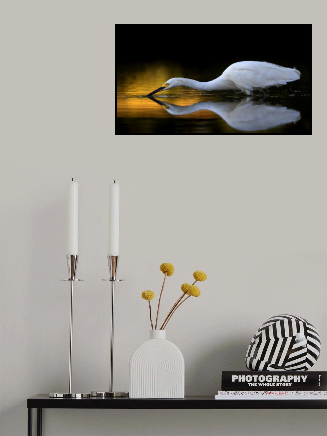 Long reach Poster och Canvastavla
