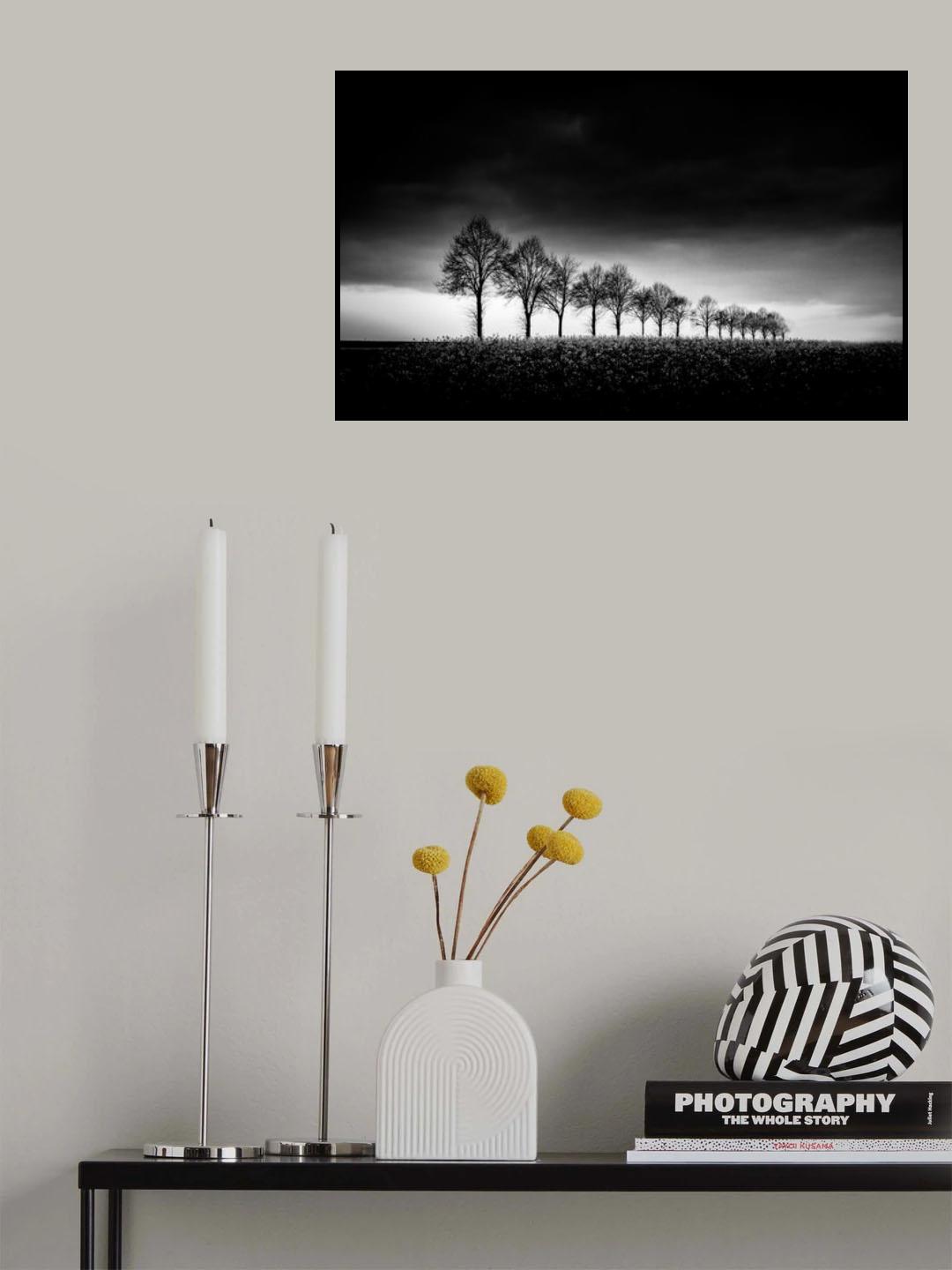 16 Descending Poster och Canvastavla