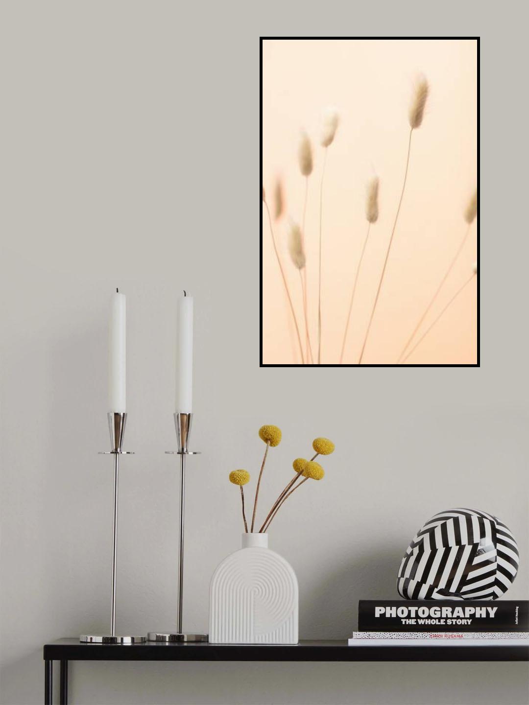 Bunny Grass Peach 02 Poster och Canvastavla