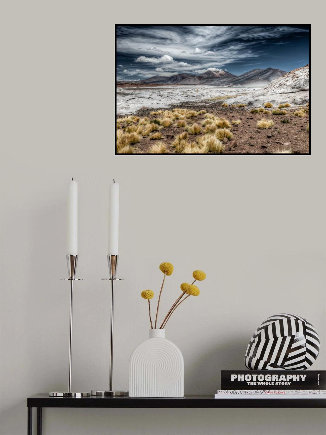 Le Salar de Talar Poster och Canvastavla