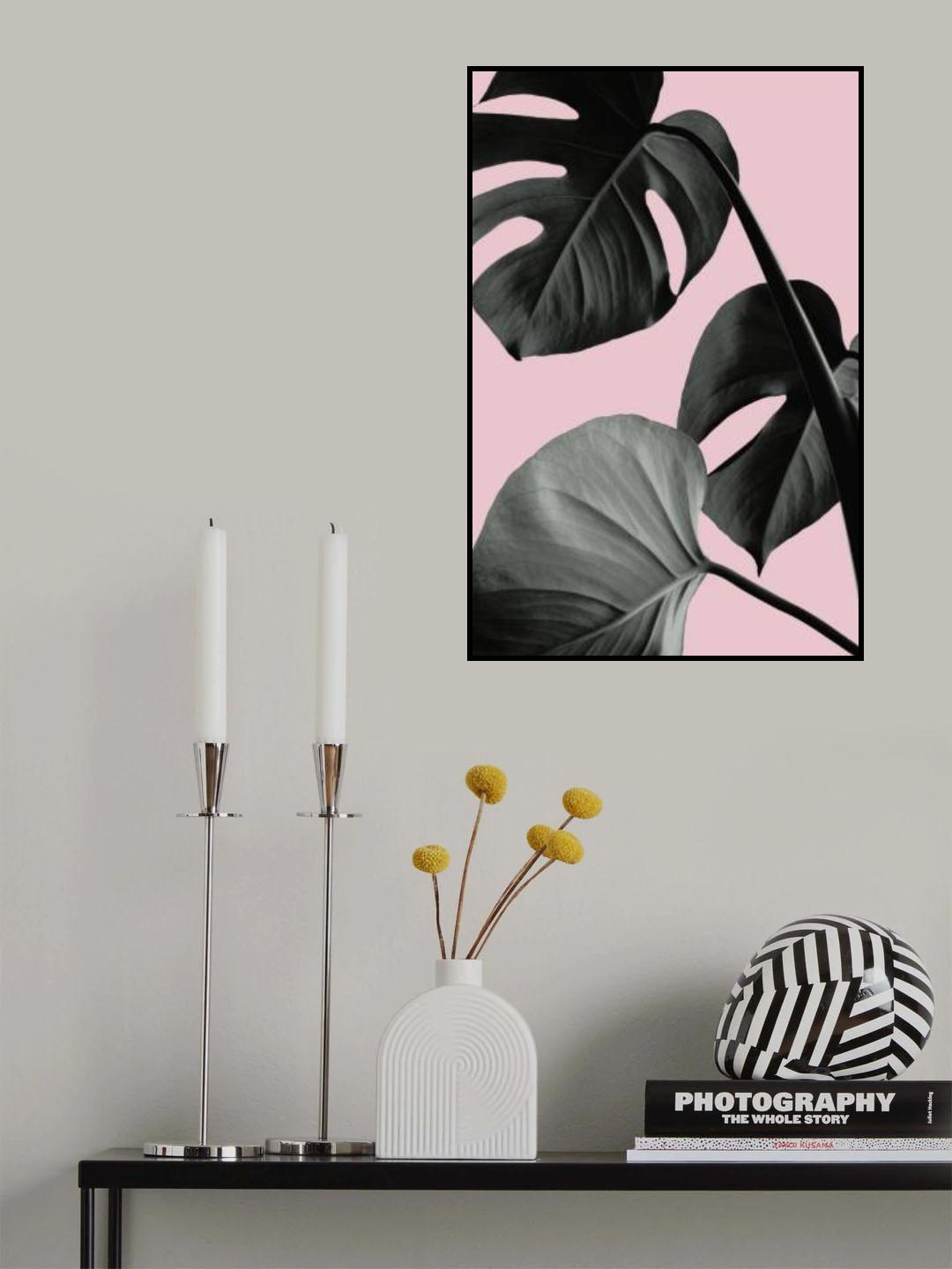 Monstera Pink No 04 Poster och Canvastavla