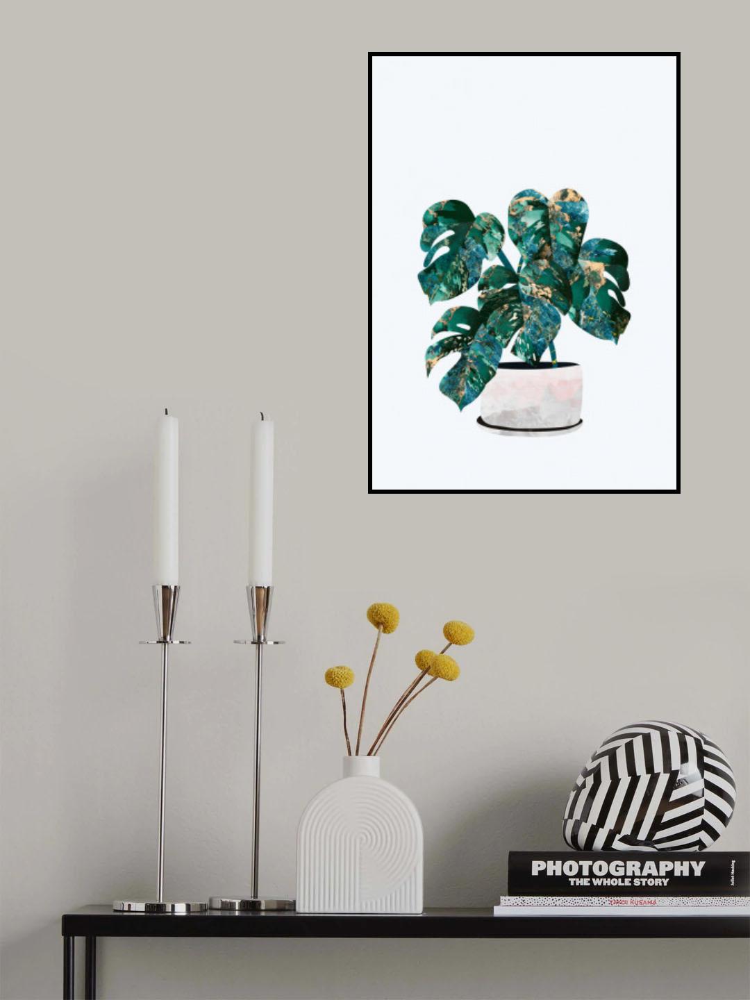 Monstera house plant Poster och Canvastavla