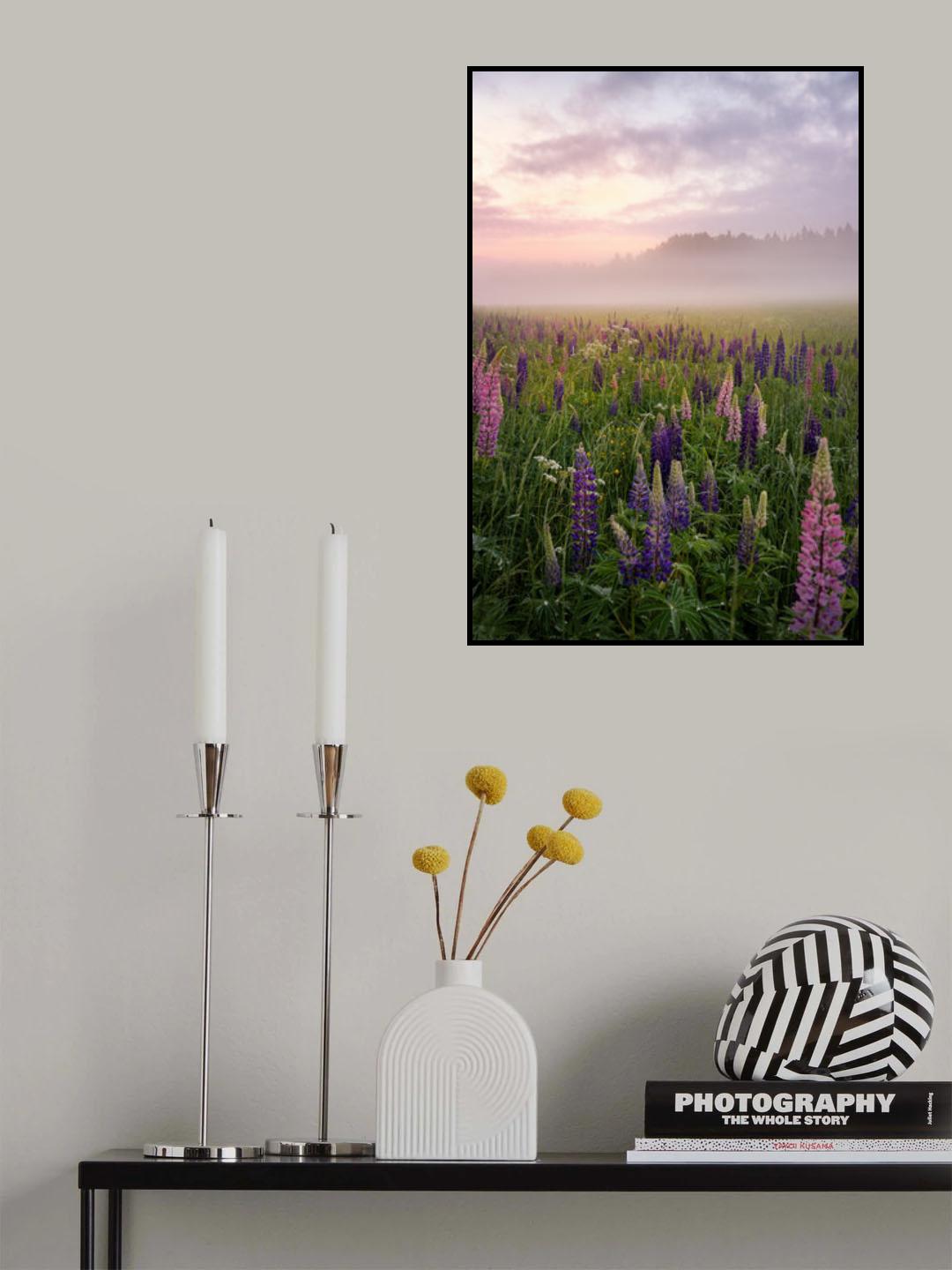 Lupines in fog part 3 Poster och Canvastavla