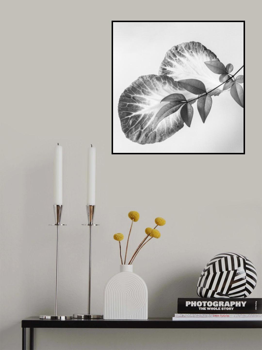 Leaves and a sprig Poster och Canvastavla