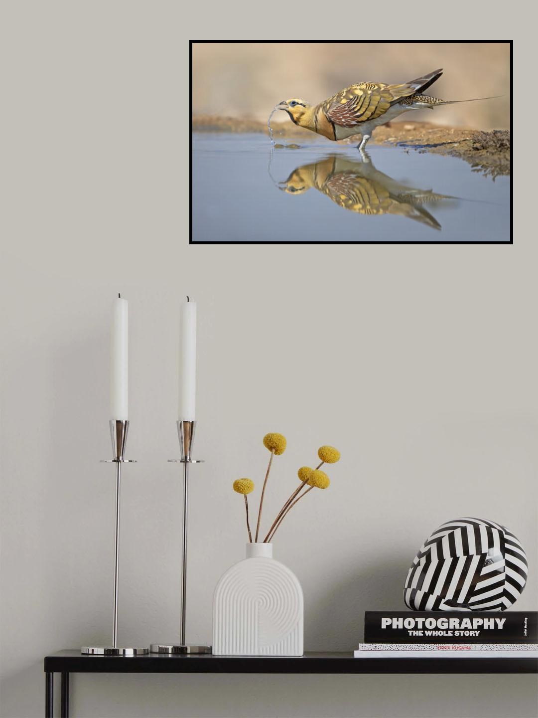 Drinking in the desert Poster och Canvastavla