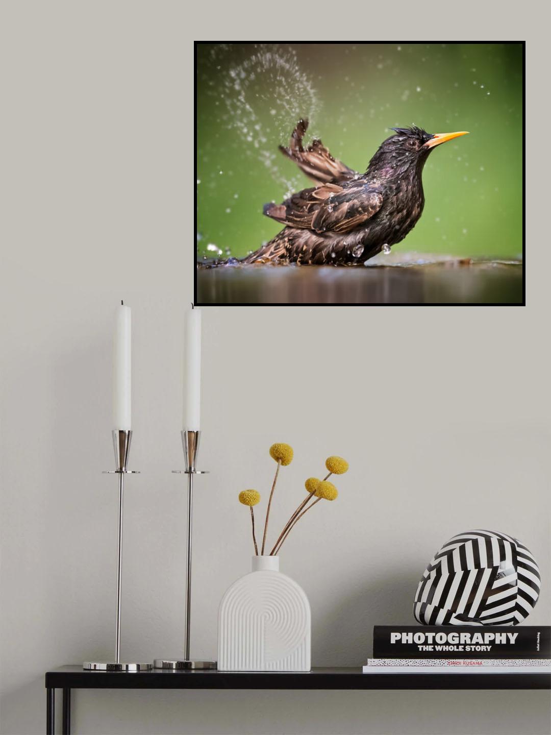 Painting with water Poster och Canvastavla