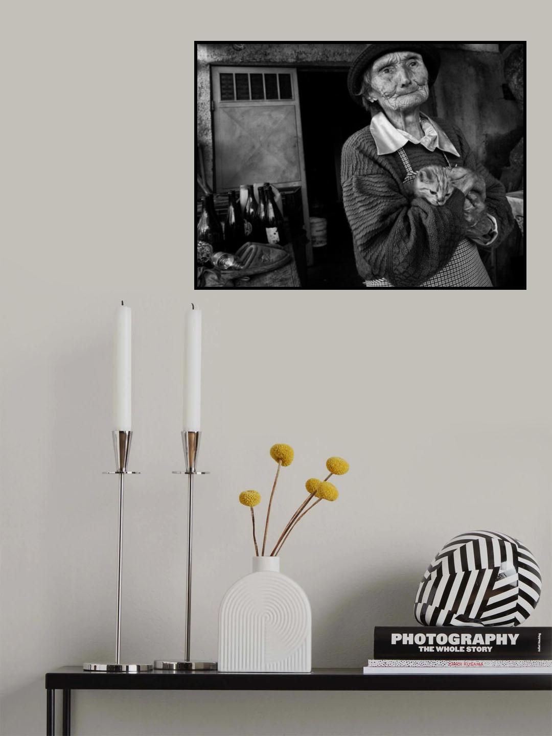 s/t Poster och Canvastavla