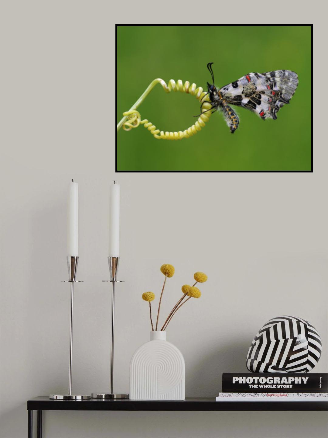 spring Poster och Canvastavla