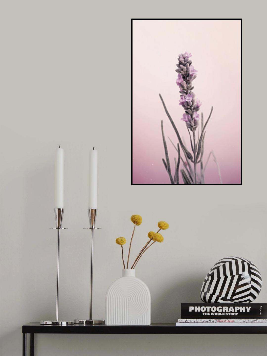 Pastel Lavender Poster och Canvastavla