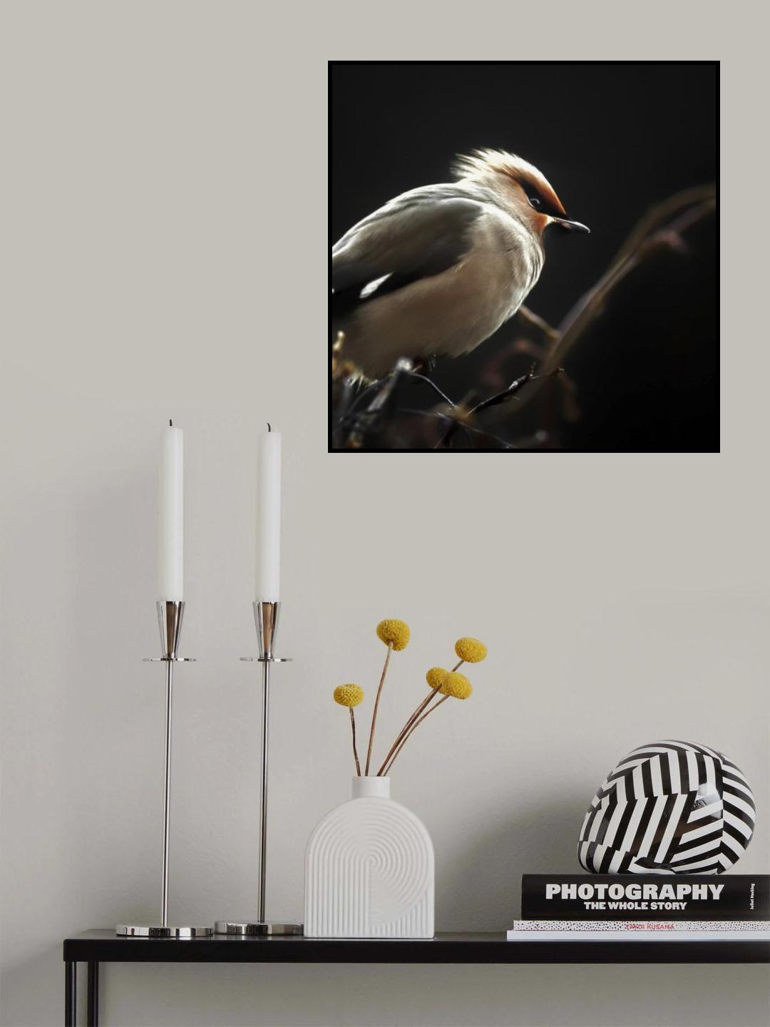 Silk tail Poster och Canvastavla