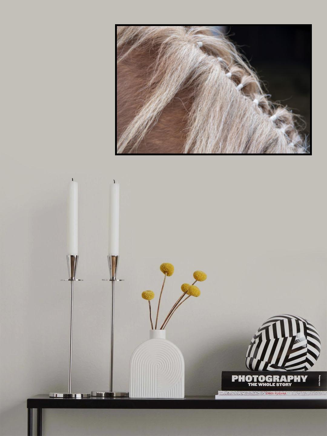 Horse Head 2 Dsc5495 Copy Poster och Canvastavla