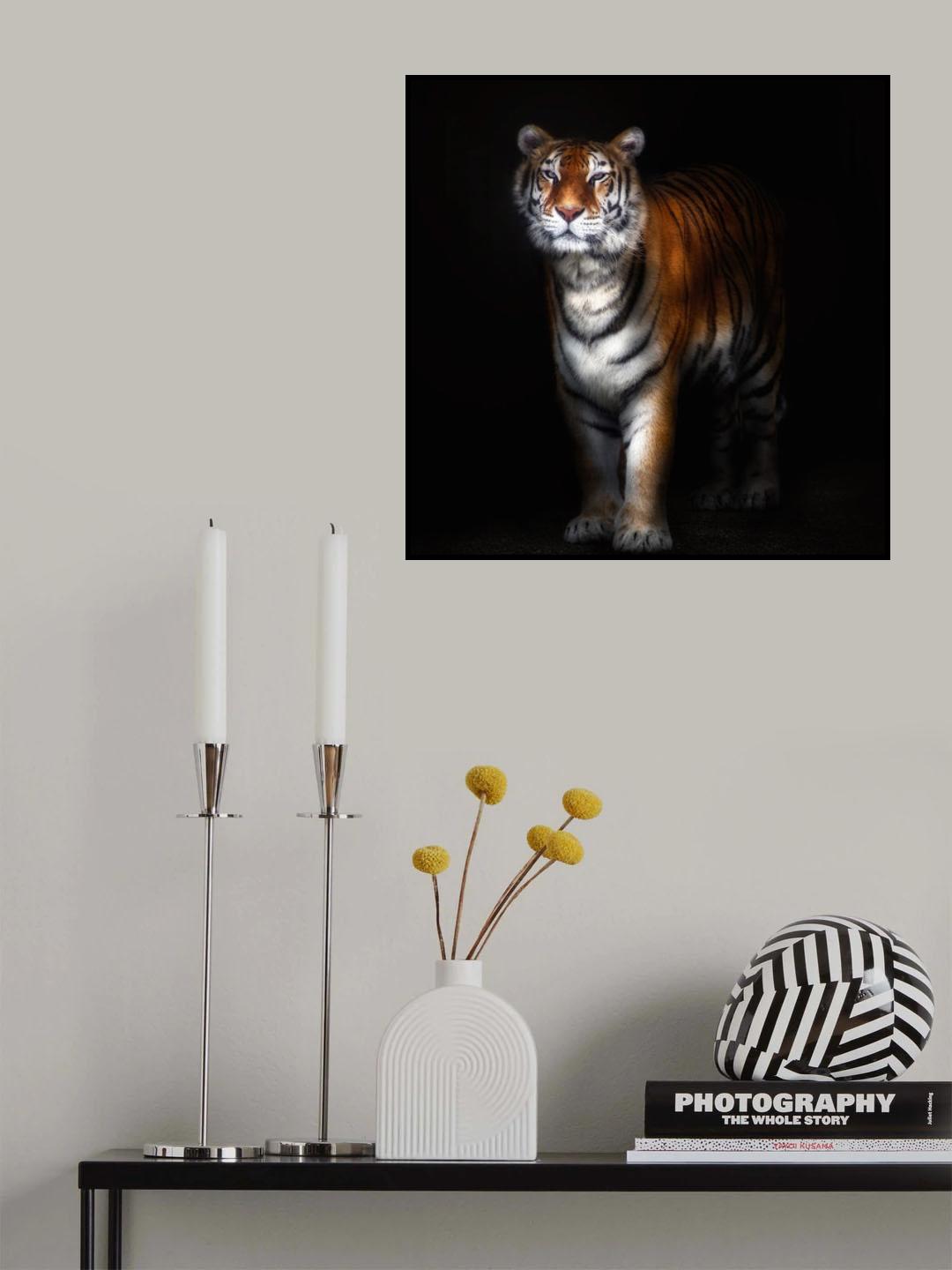 Tiger portrait II Poster och Canvastavla