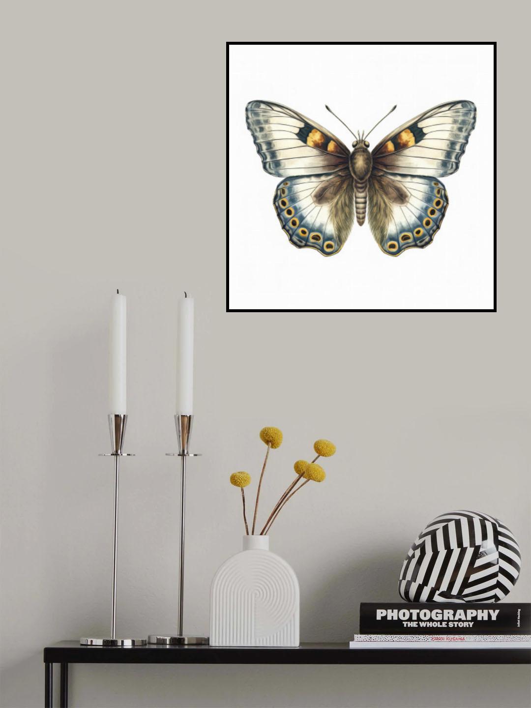 Butterfly 12 Poster och Canvastavla