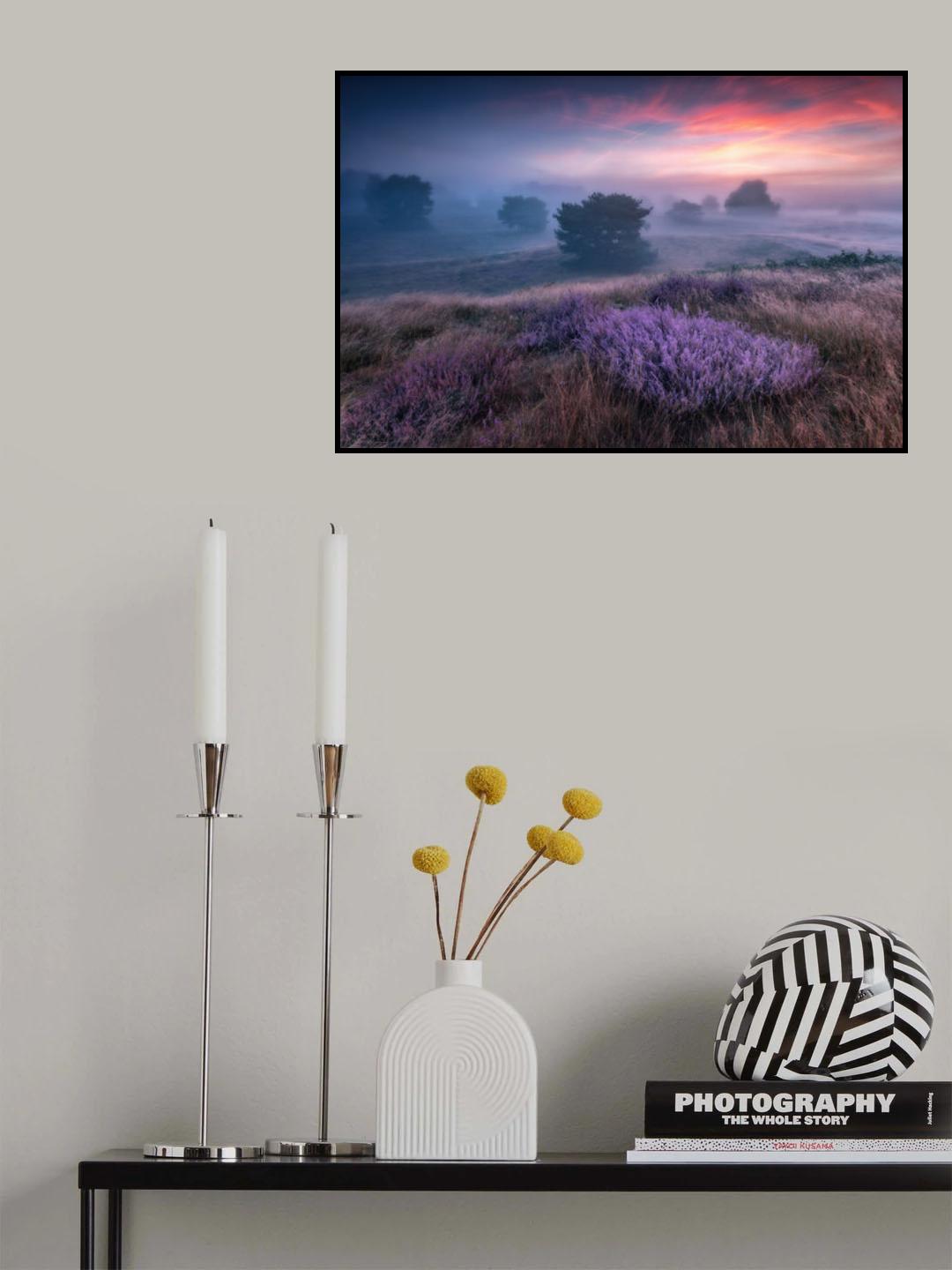 "the colors of heather" Poster och Canvastavla