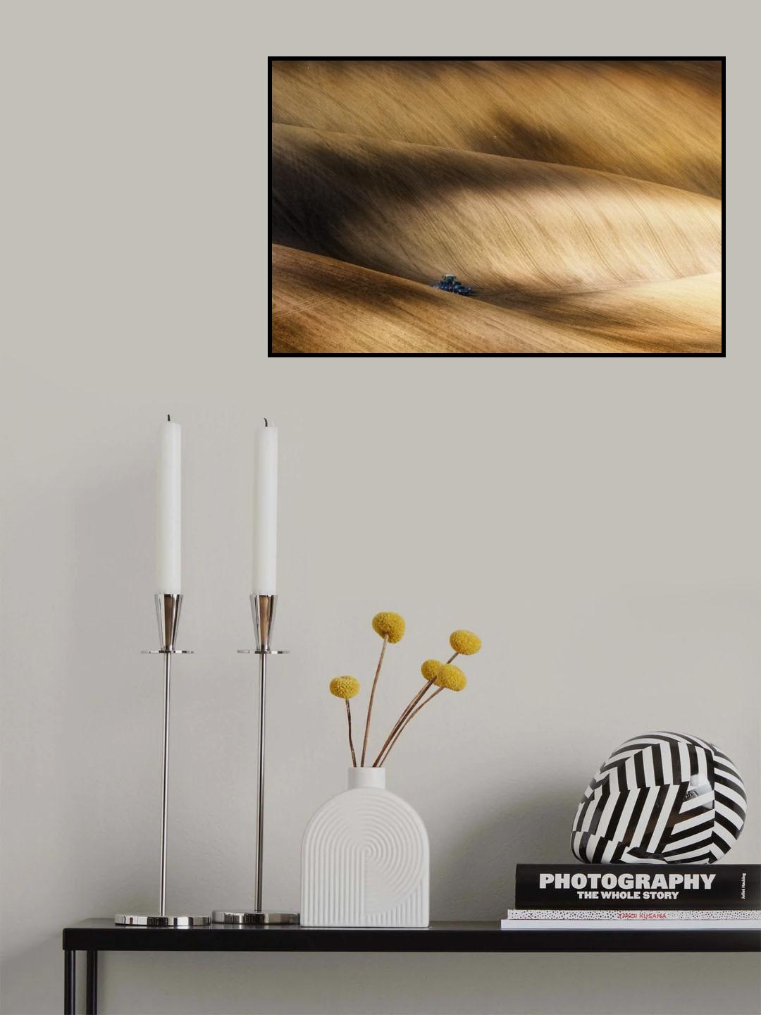 before seeding Poster och Canvastavla