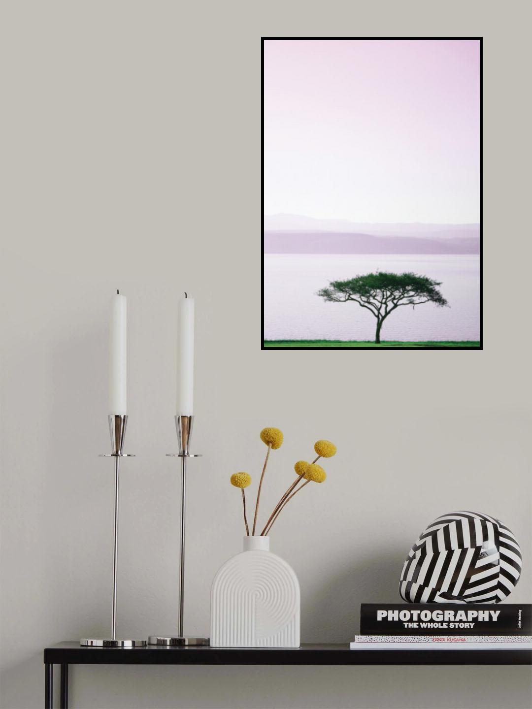 Suesscape 02 Poster och Canvastavla