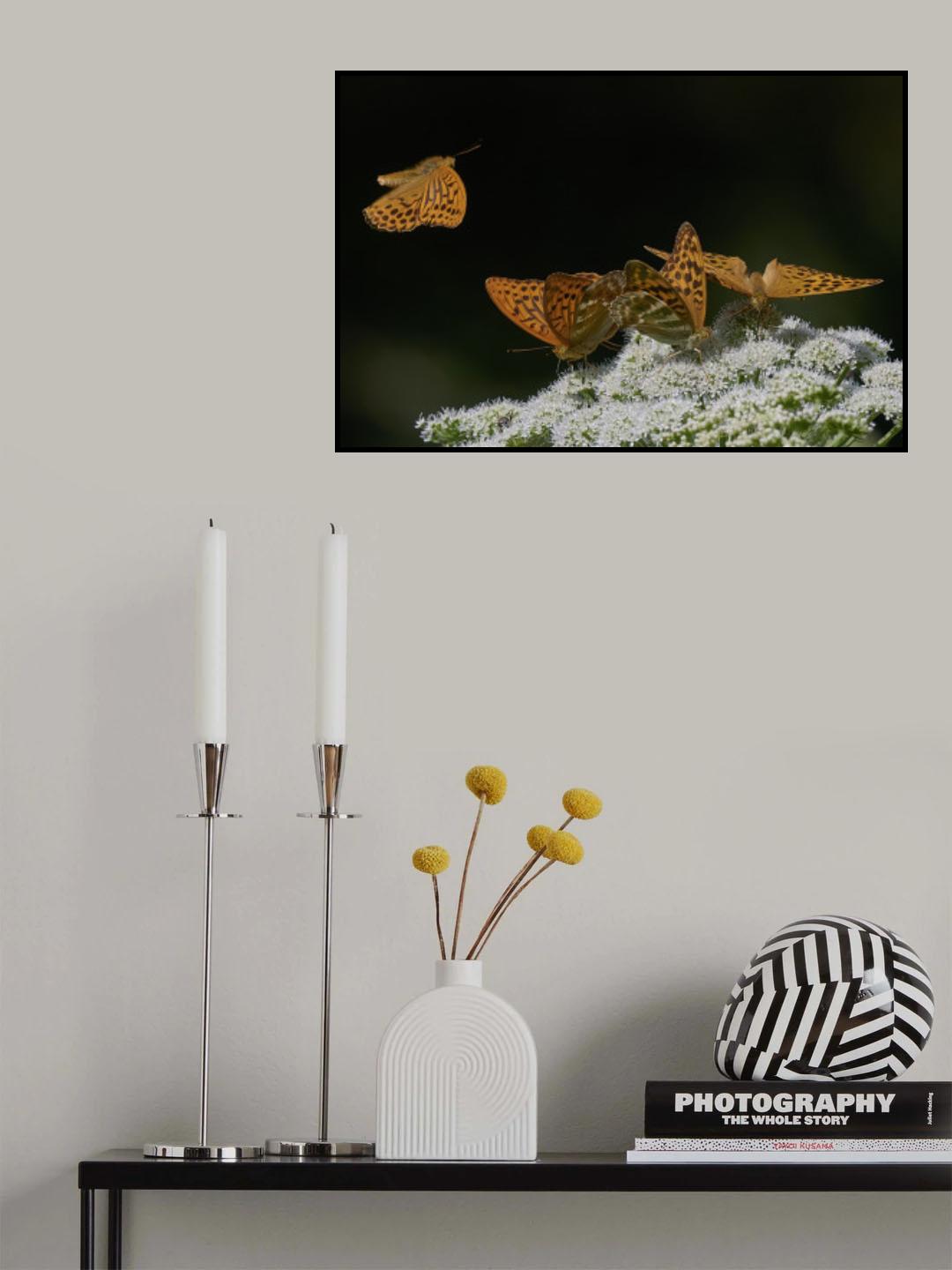 Butterflies landing Poster och Canvastavla