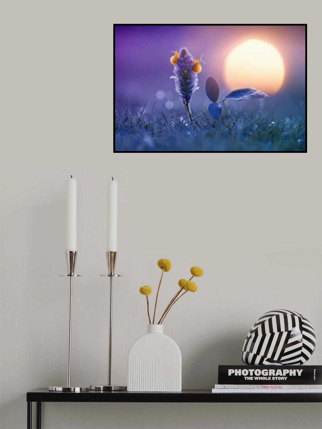 Snail Waiting for Sunrise Poster och Canvastavla