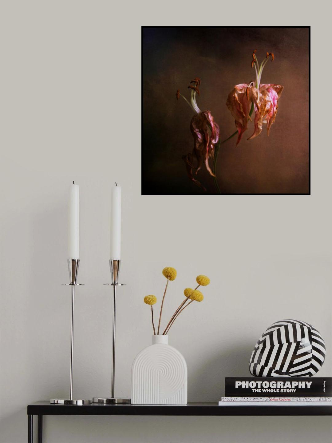 Wilted Beauty Poster och Canvastavla