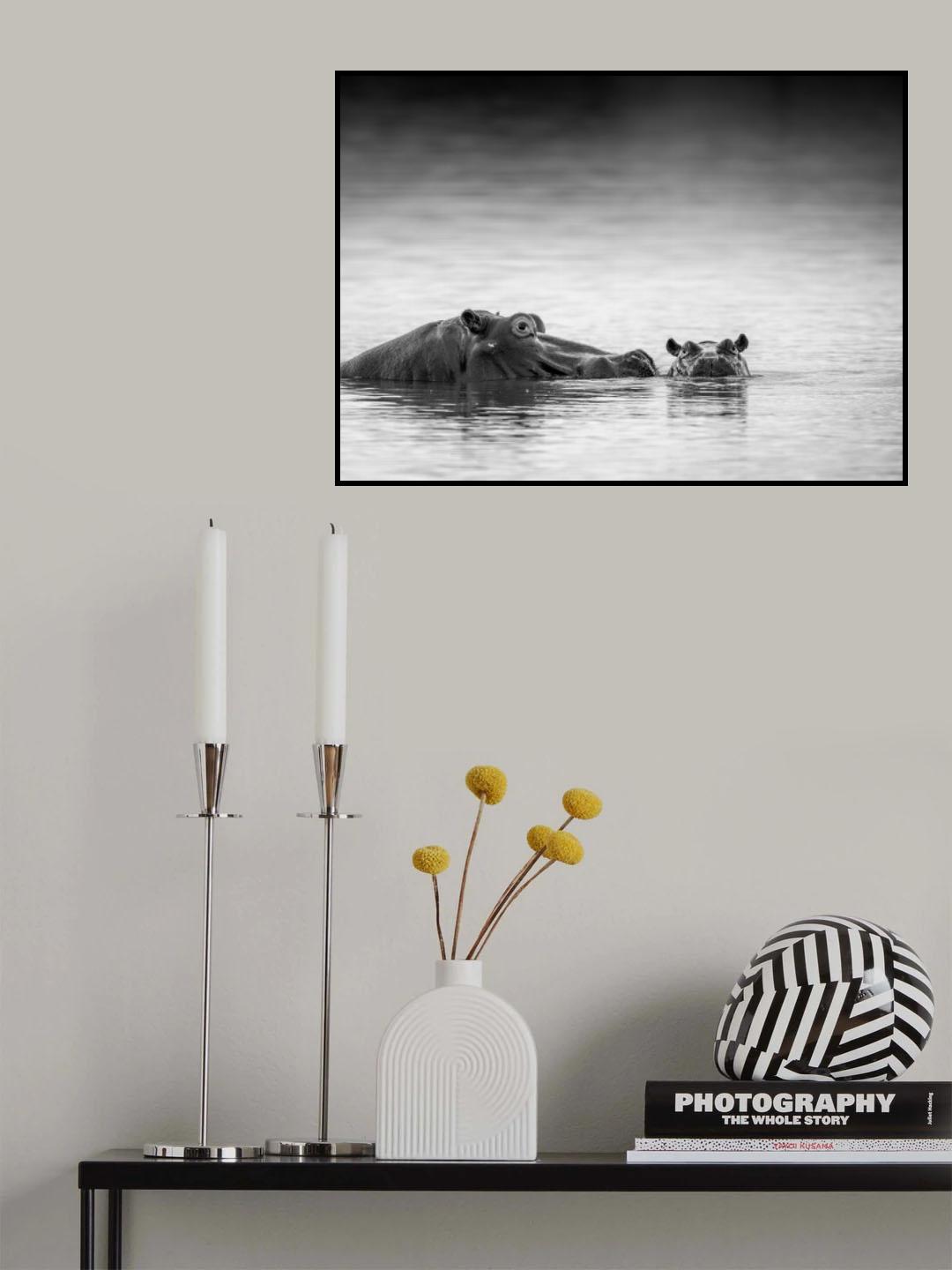 Eye level Poster och Canvastavla