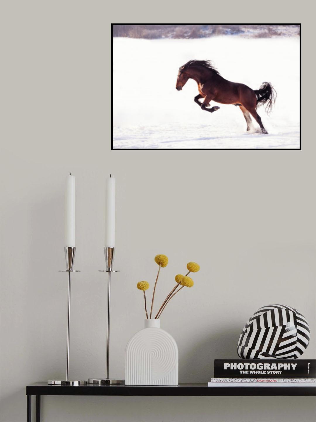 735W 2 Poster och Canvastavla
