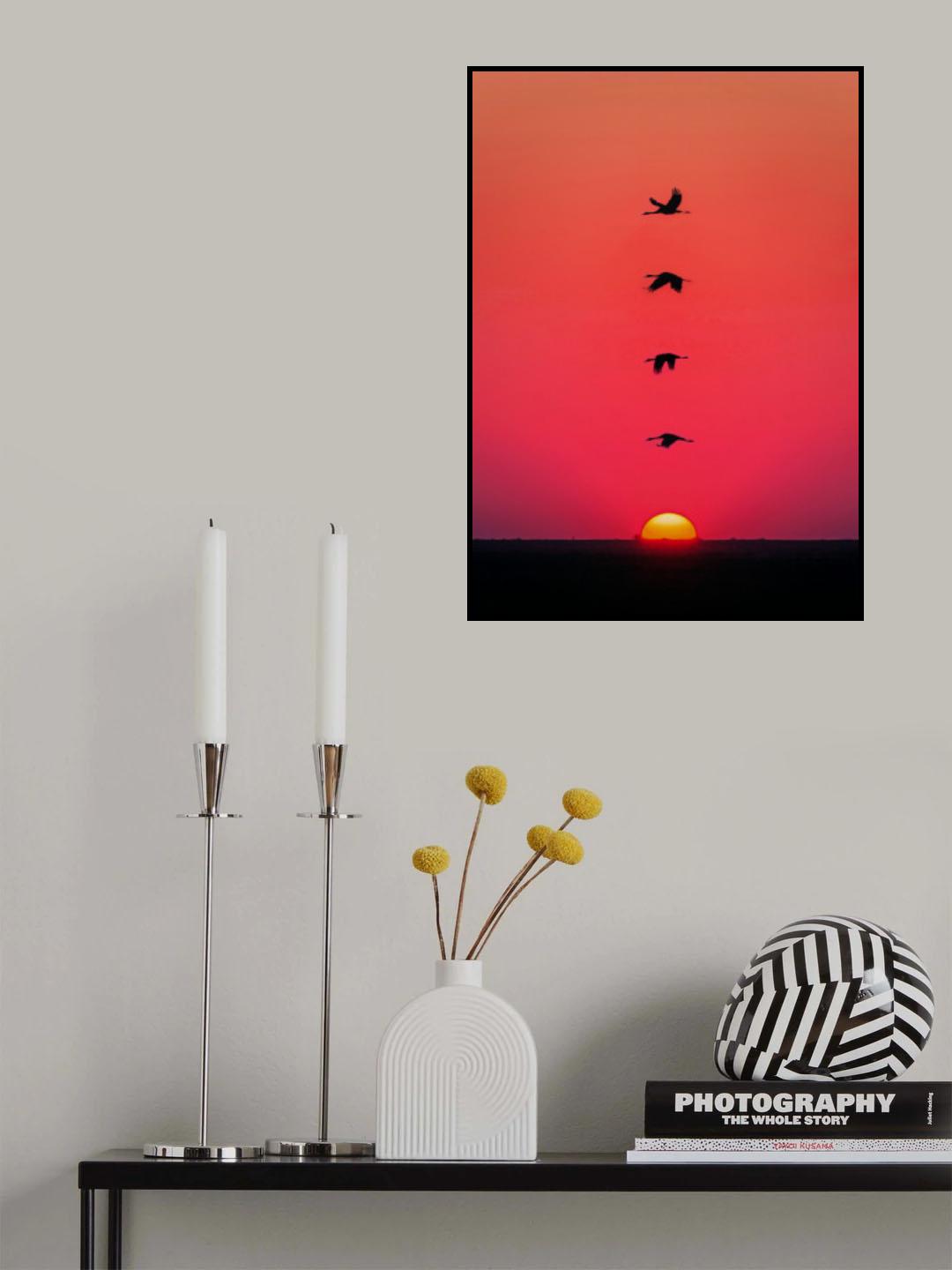 Sunset Birds Poster och Canvastavla