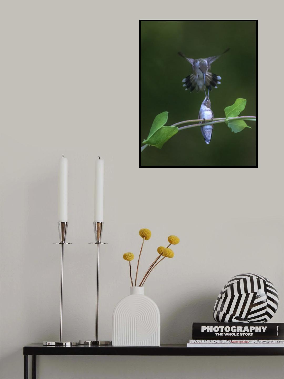 Feeding Poster och Canvastavla
