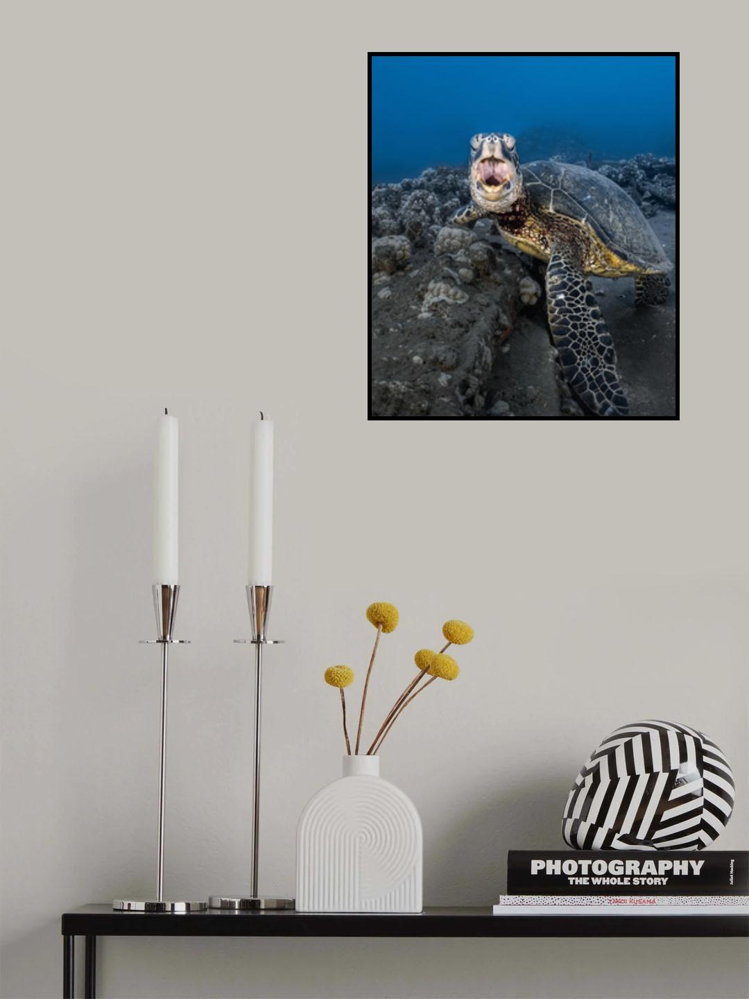 Turtle yawning Poster och Canvastavla