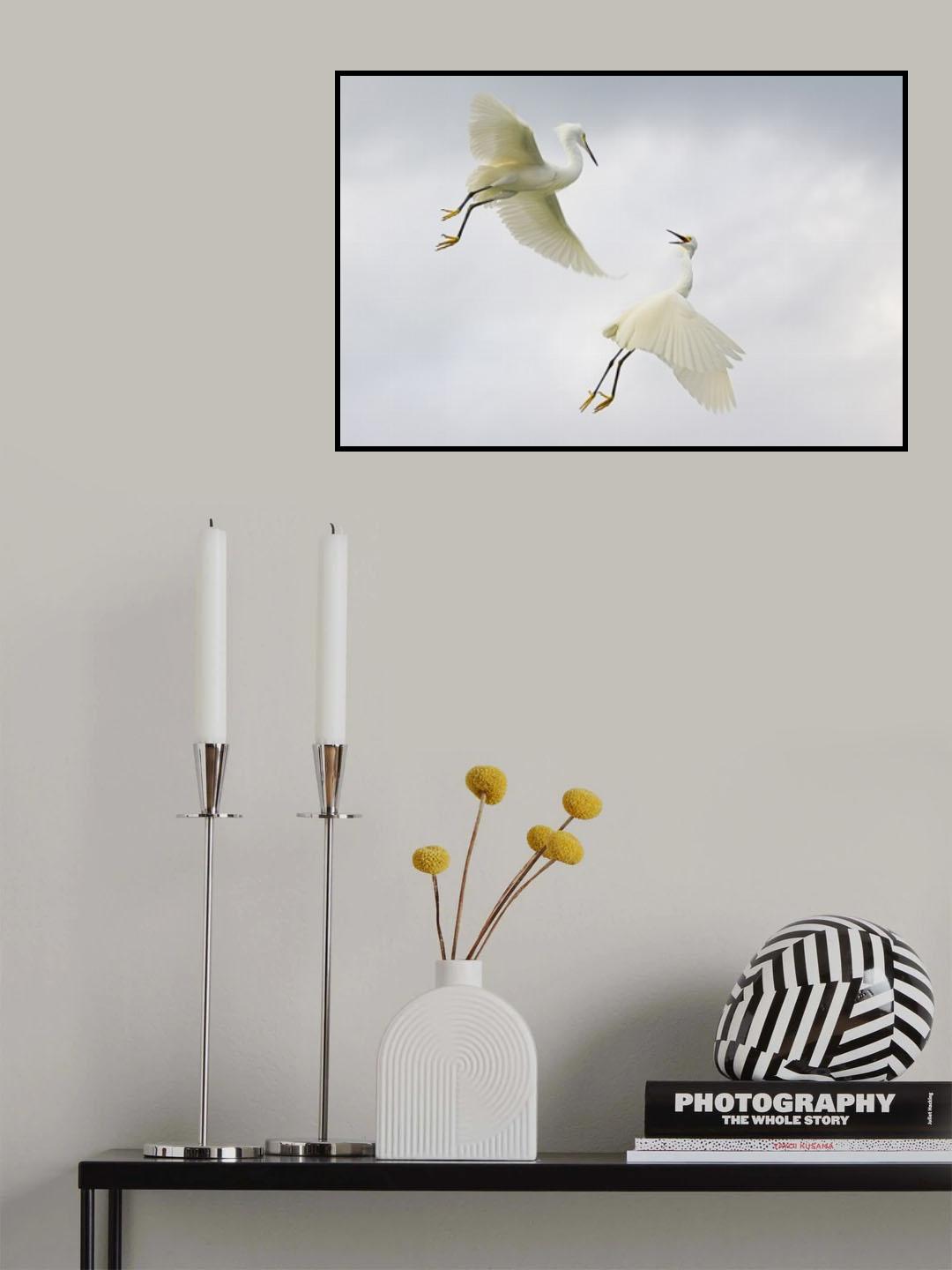 Air Ballet Poster och Canvastavla