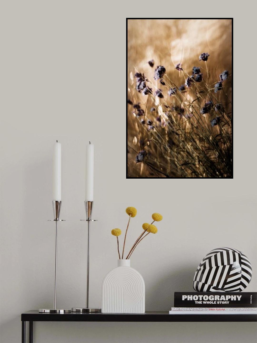 To Be Free in Light Poster och Canvastavla