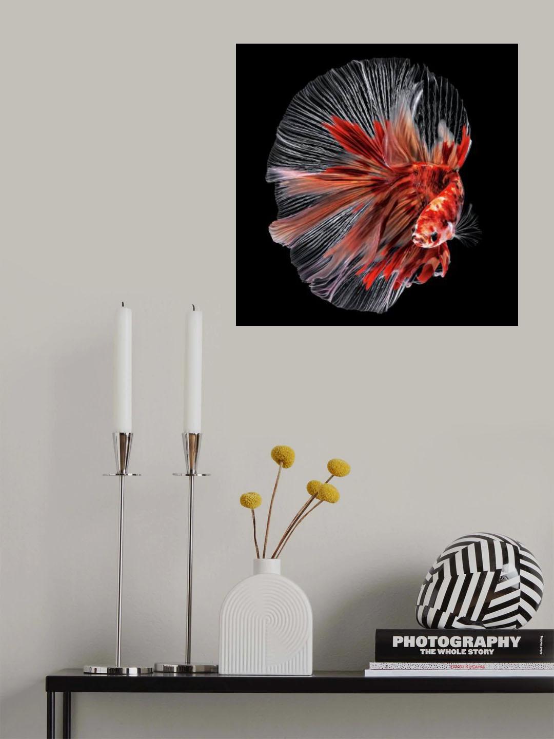 Betta Fish Poster och Canvastavla