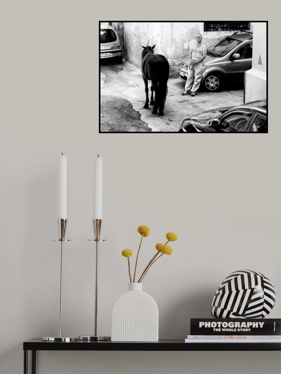 Man with Horse in Palermo Sicily Poster och Canvastavla