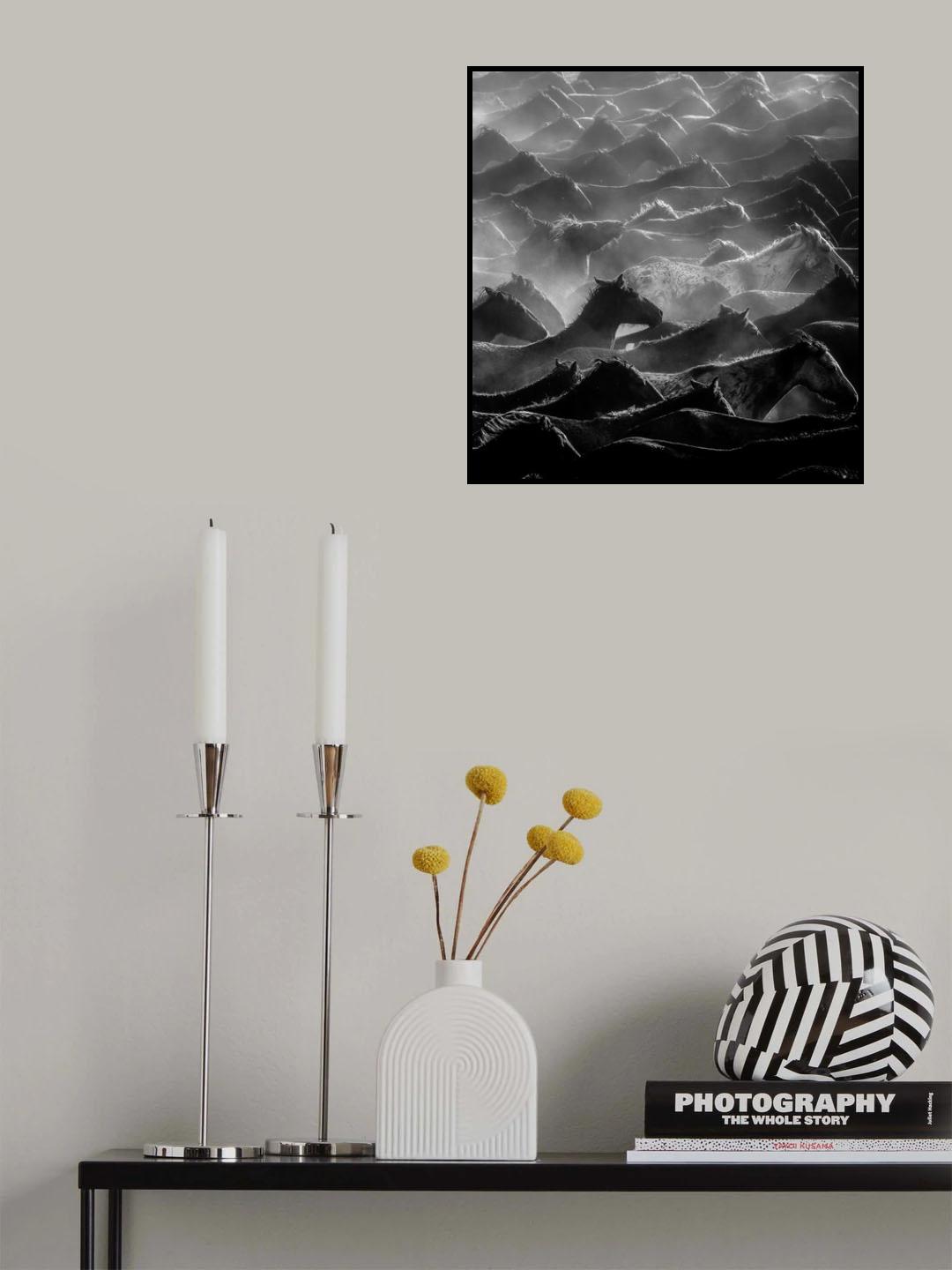 horses Poster och Canvastavla