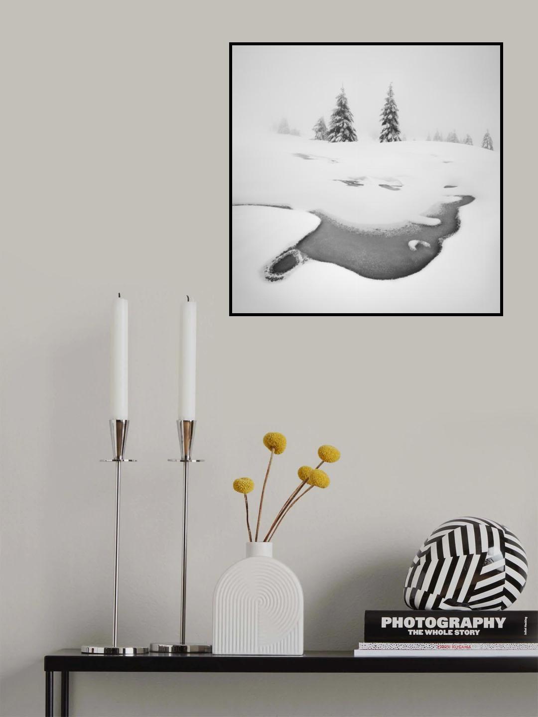 Frozen swamps Poster och Canvastavla