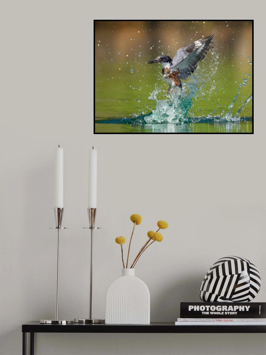 Water ballet Poster och Canvastavla