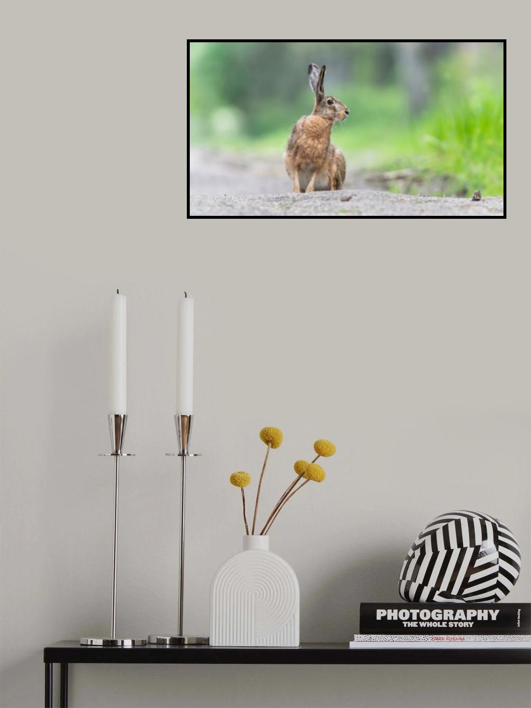 Hare Poster och Canvastavla