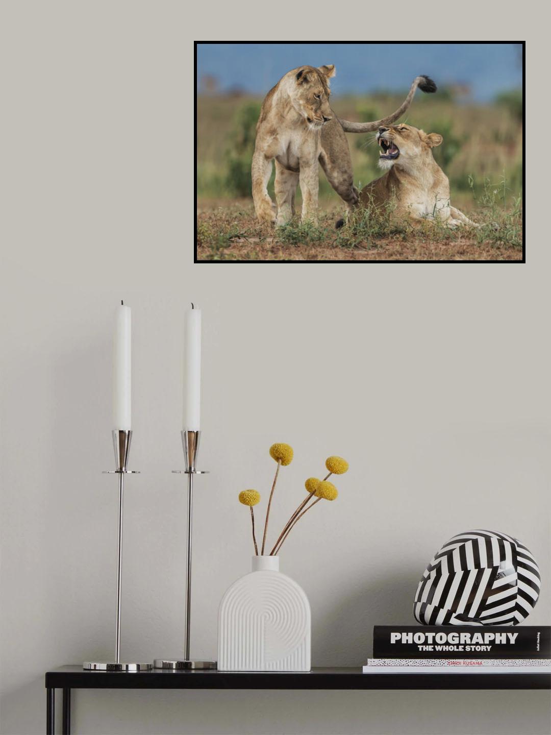 Sisters Poster och Canvastavla