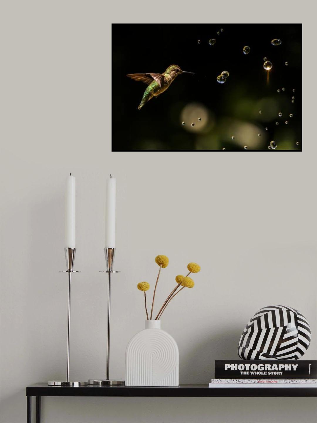 Play with Water Drops Poster och Canvastavla