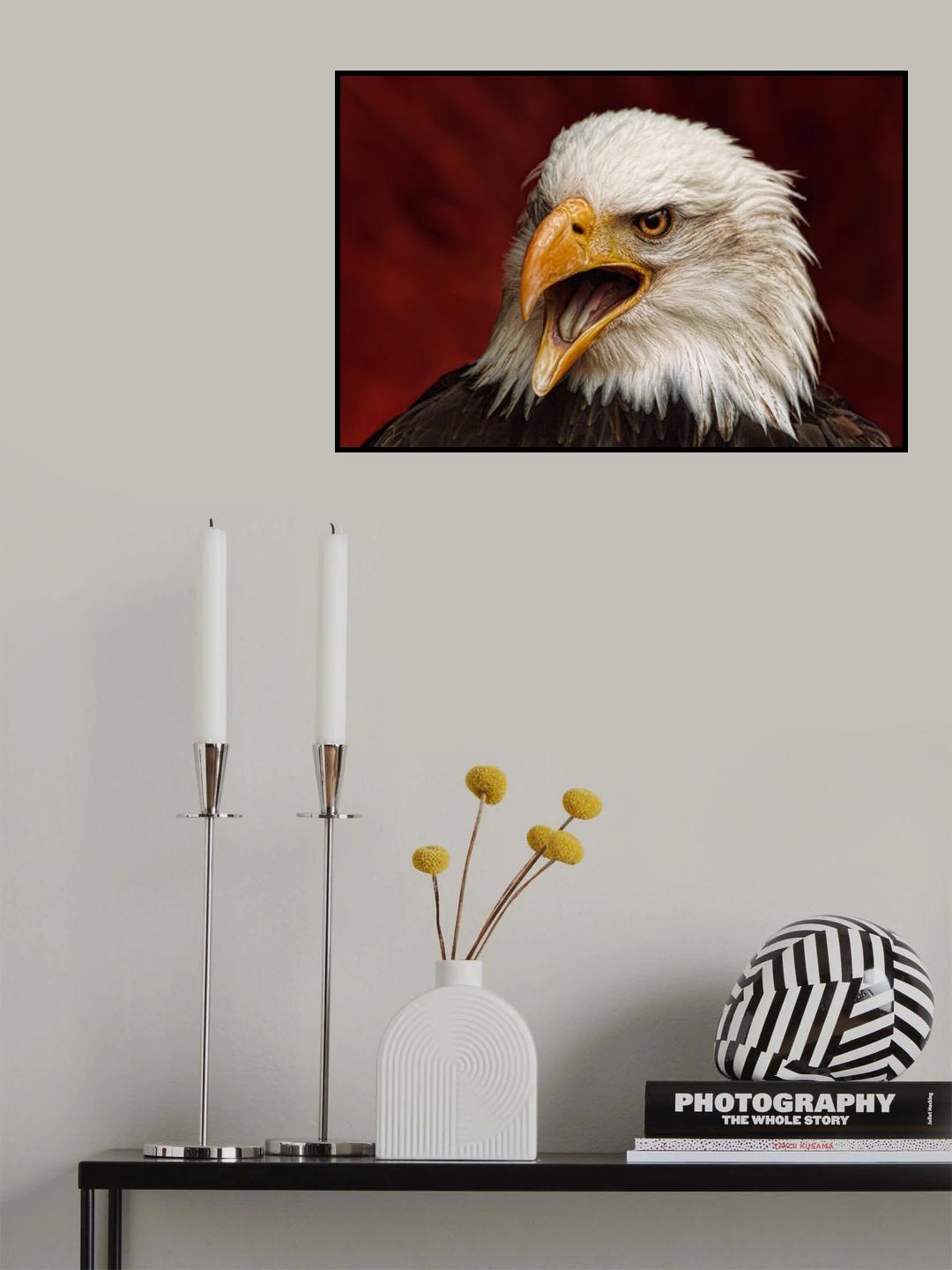 Angry bird Poster och Canvastavla