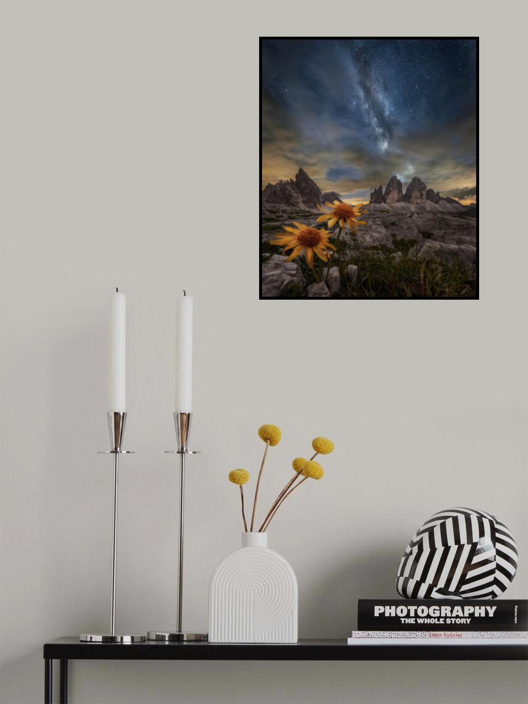Even the flowers seem to be fascinated by the stars Poster och Canvastavla
