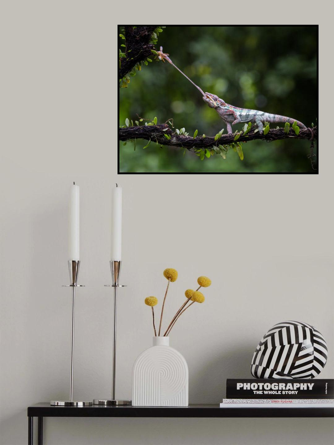 Panther Chameleon Poster och Canvastavla