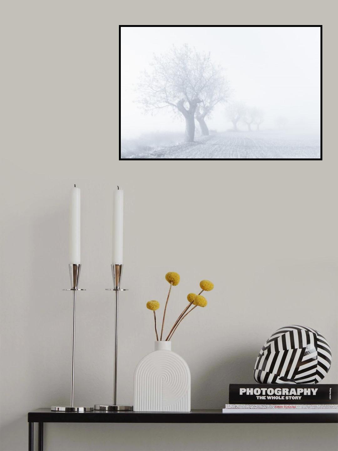 Foggy Sunday Poster och Canvastavla