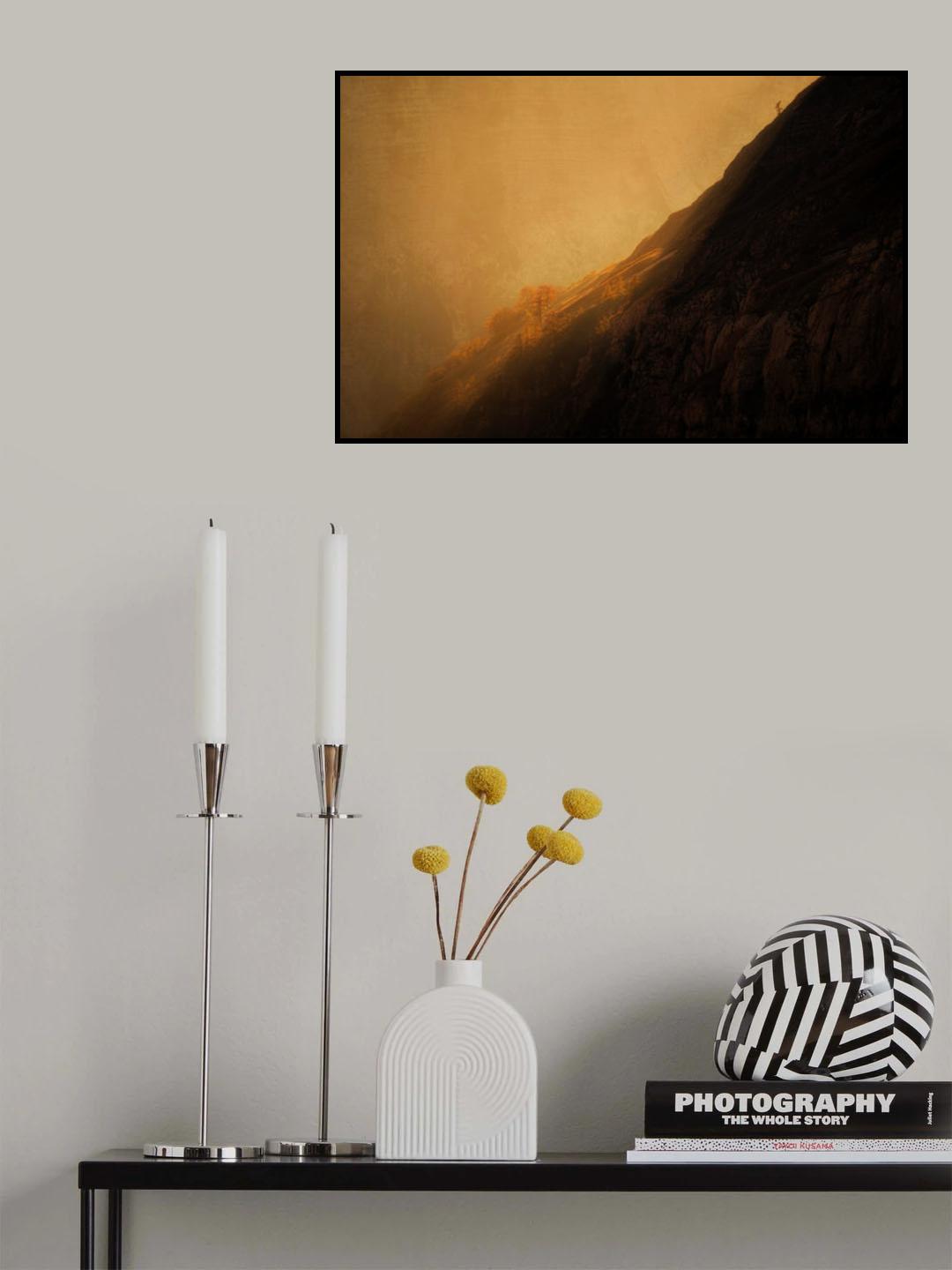 Trees high up in the mountains Poster och Canvastavla