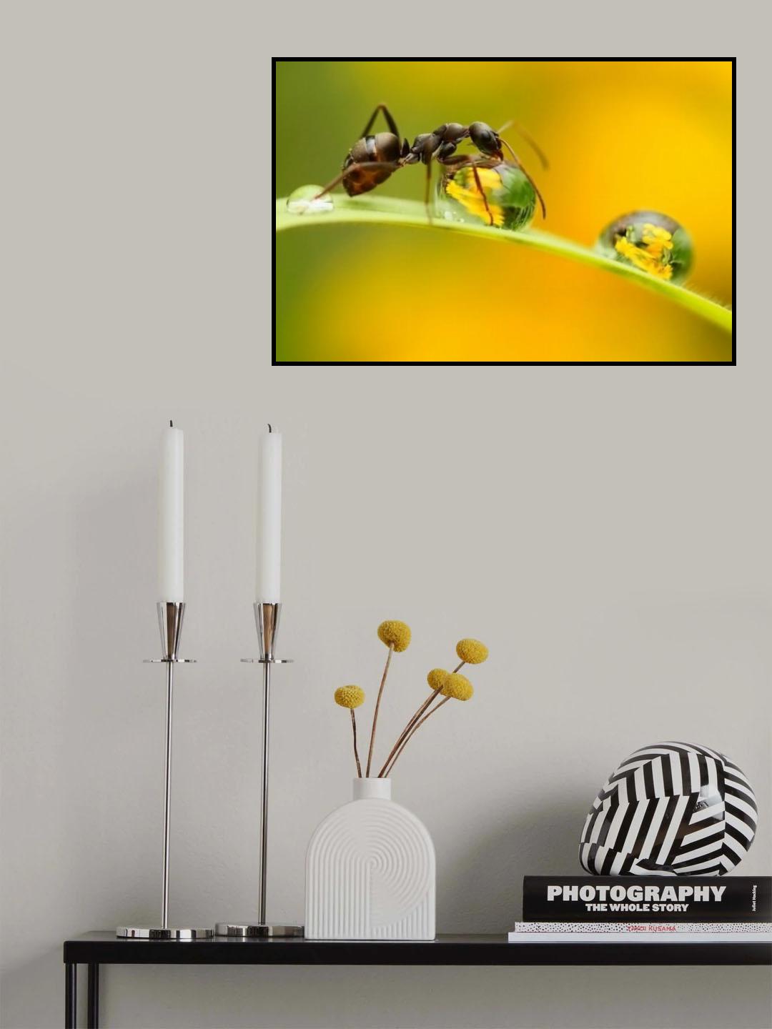sweet dew Poster och Canvastavla