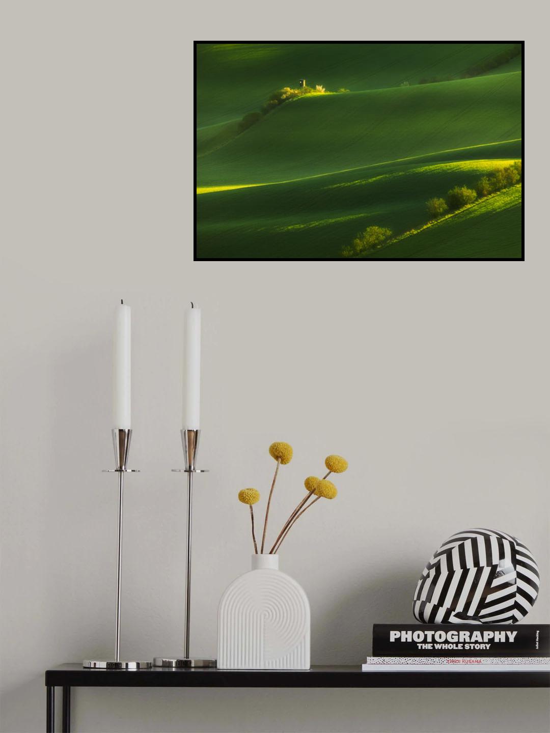 Fields of green Poster och Canvastavla