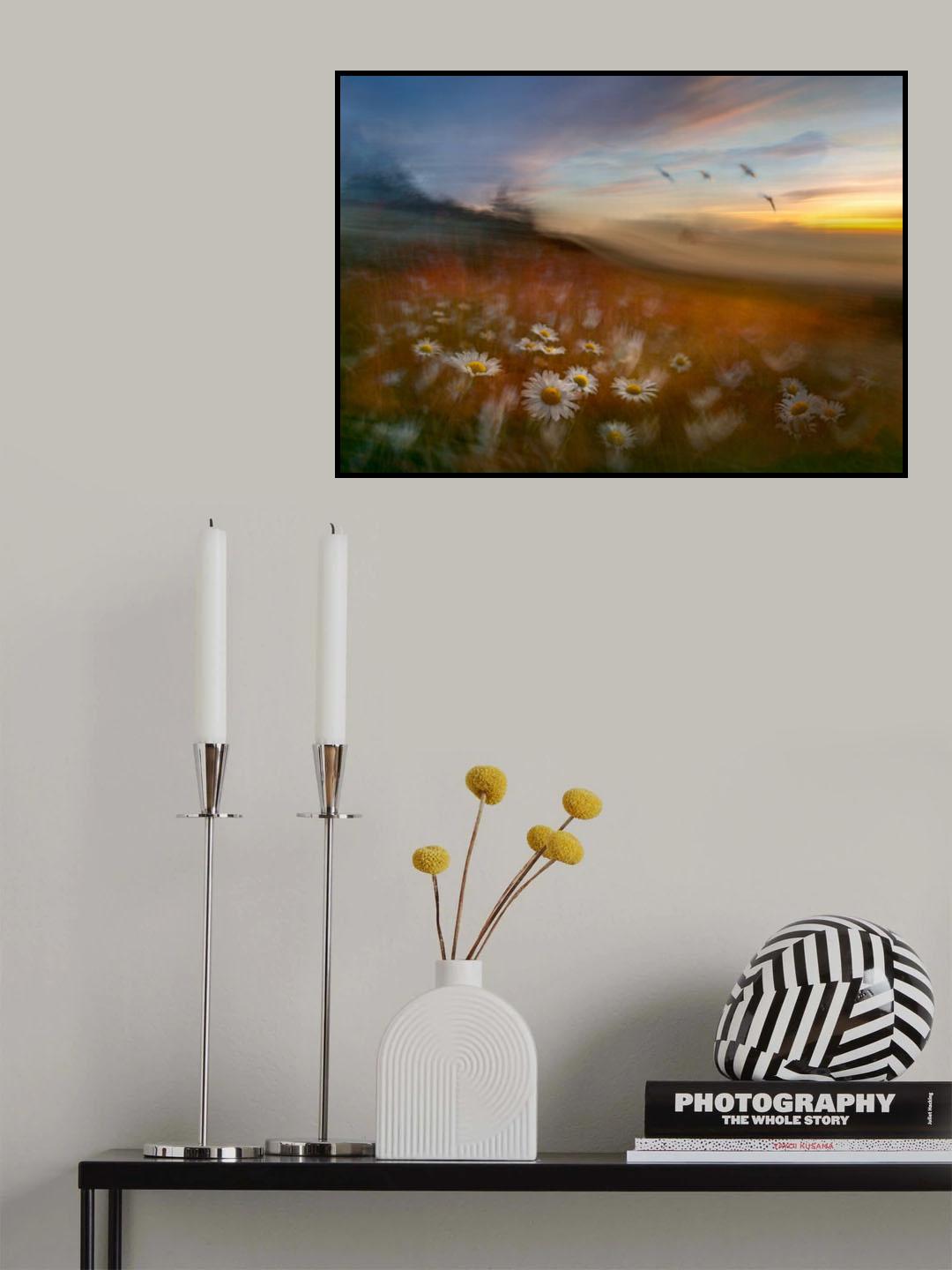 One Summer Night Poster och Canvastavla
