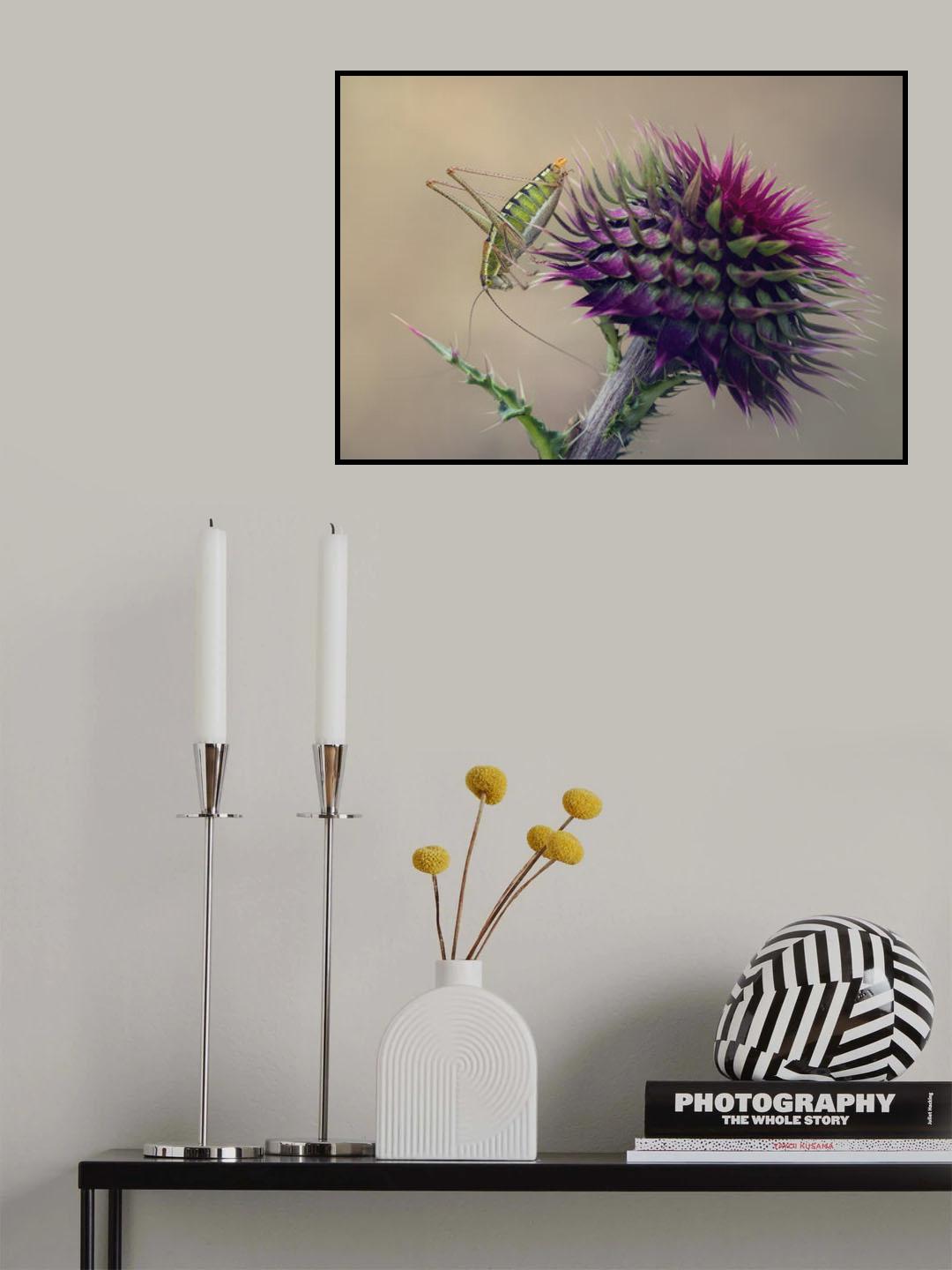 \..<./*... Poster och Canvastavla