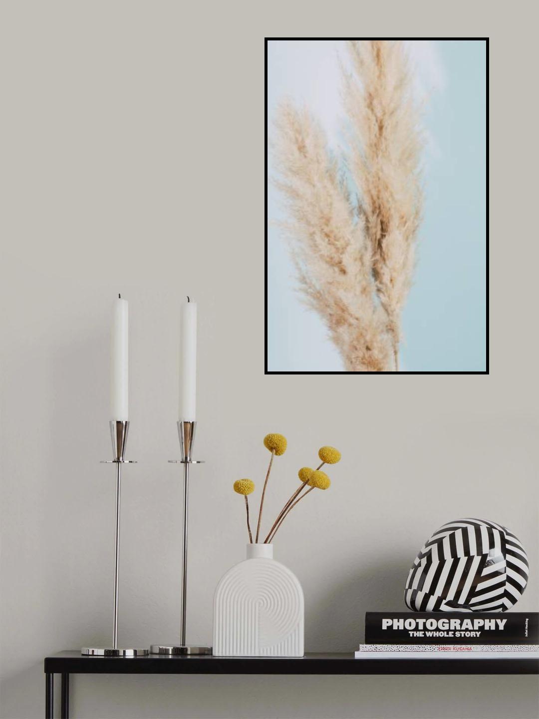 Pampas Grass Blue 02 Poster och Canvastavla
