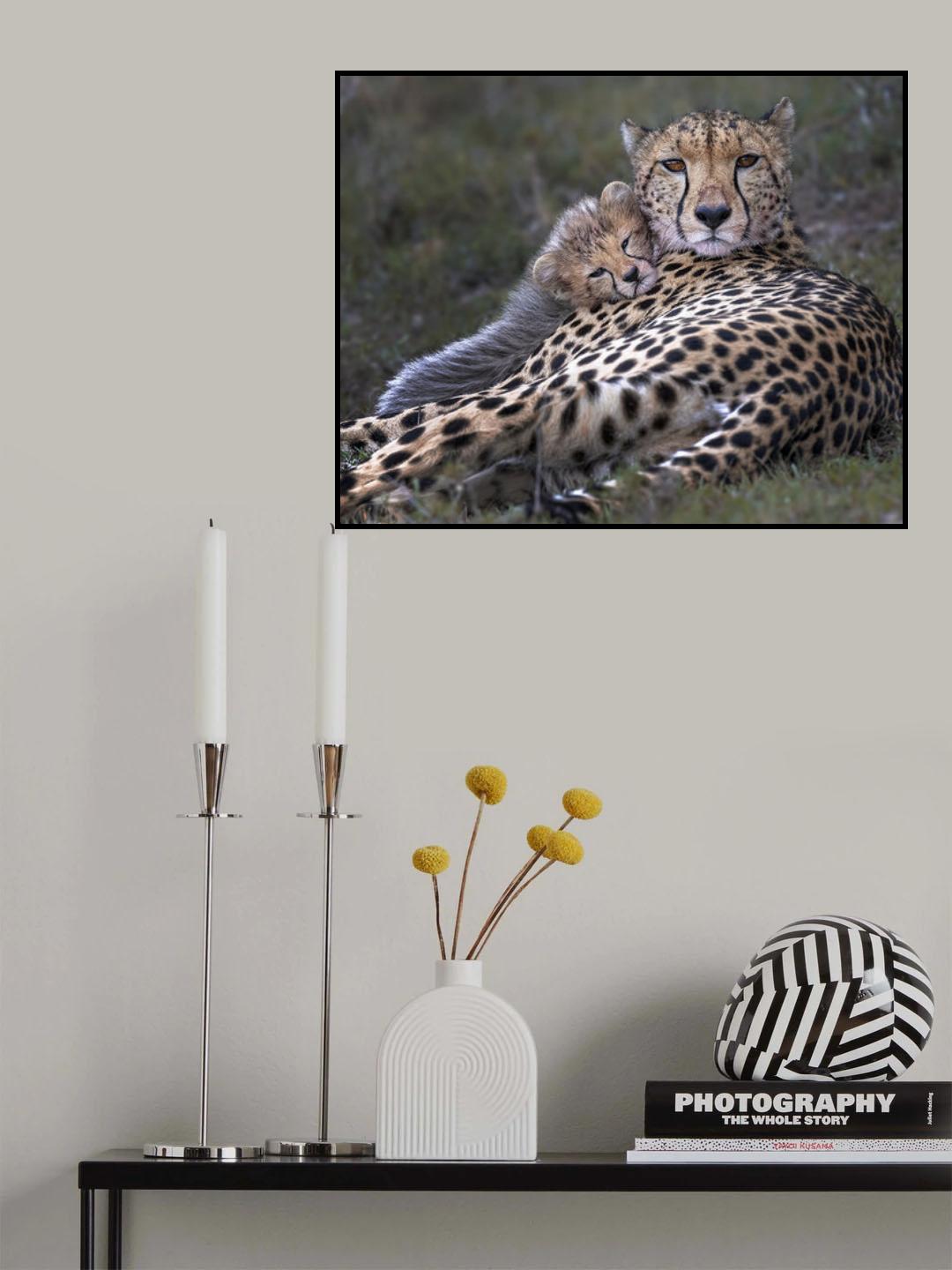 Mommy's little baby Poster och Canvastavla