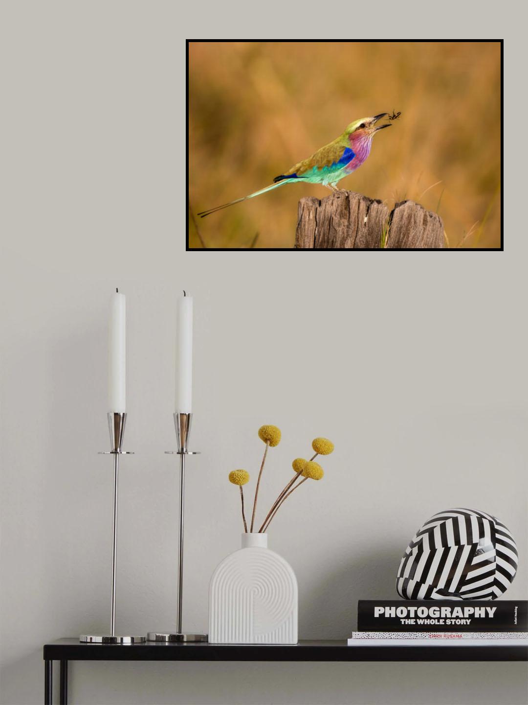 Roller with Bug Poster och Canvastavla
